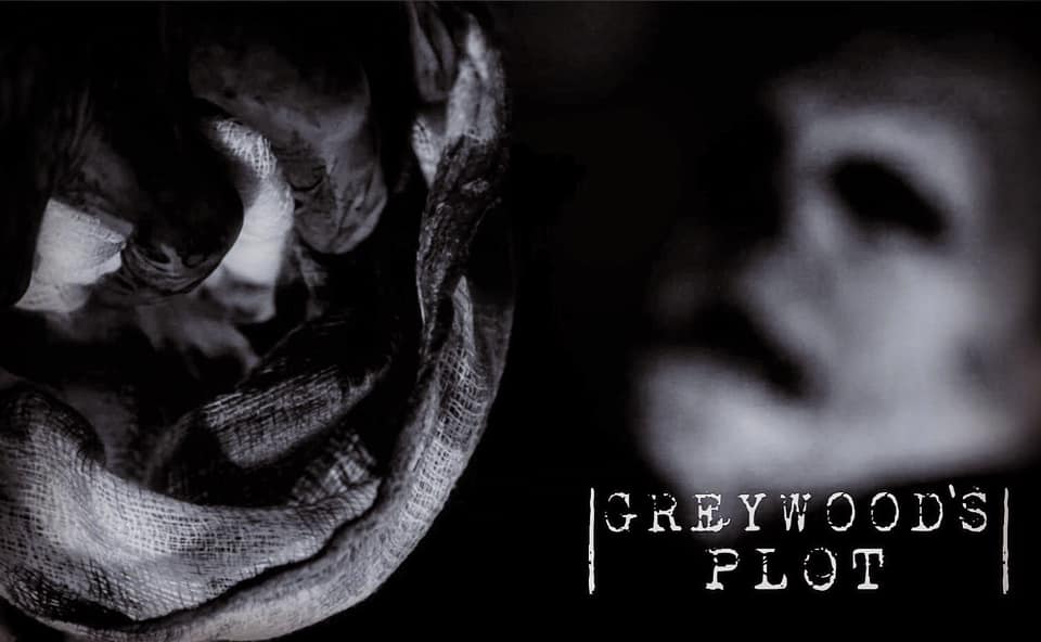 Catching up with Josh Stifter – Greywood’s Plot, Festivals, and More - banner image